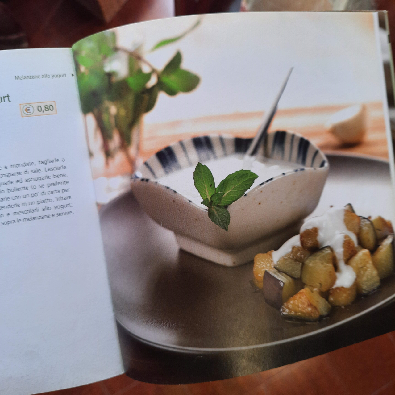 michela_trevisan_ricetta_melanzane_allo_yogurt